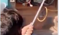 ट्रक में घुसे अजगर ने ऐसे लगा दिया सड़क पर जाम- थम गई जिंदगी की रफ्तार
