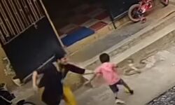 बच्चे को डसने के लिये सांप ने उठाया फन- ऐसे बचाई मां ने जान