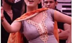 तीन घंटे के कार्यक्रम में सपना चौधरी को मिलते हैं लाखों रुपये