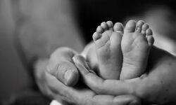 बिन ब्याही मांओ की करतूत -कचरे में 17 भ्रूण मिलने से मचा हड़कंप बिन ब्याही मांओ की करतूत -कचरे में 17 भ्रूण मिलने से मचा हड़कंप