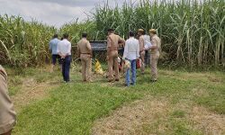 शस्त्र तस्कर पर SSP का शिकंजा- जब्त की गैंगस्टर की इतने लाख की संपत्ति शस्त्र तस्कर पर SSP का शिकंजा- जब्त की गैंगस्टर की इतने लाख की संपत्ति