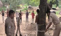प्रेमिका से मिलने घर में घुसे प्रेमी की पेड़ से बांधकर कर दी ऐसी हालत
