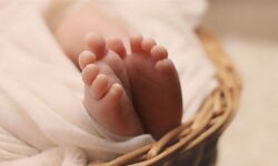 चुप नहीं होने पर मां ने मासूम को सड़क पर फेंका- कार से कुचलकर मौत चुप नहीं होने पर मां ने मासूम को सड़क पर फेंका- कार से कुचलकर मौत