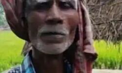 पत्नी का हुआ ऐसा डर-100 फीट ऊंचे ऐसे स्थान पर पति ने जमाया डेरा पत्नी का हुआ ऐसा डर-100 फीट ऊंचे ऐसे स्थान पर पति ने जमाया डेरा