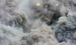 ब्लास्ट के बाद 10 सेकेण्ड में नोएडा का ट्विन टावर जमींदोज