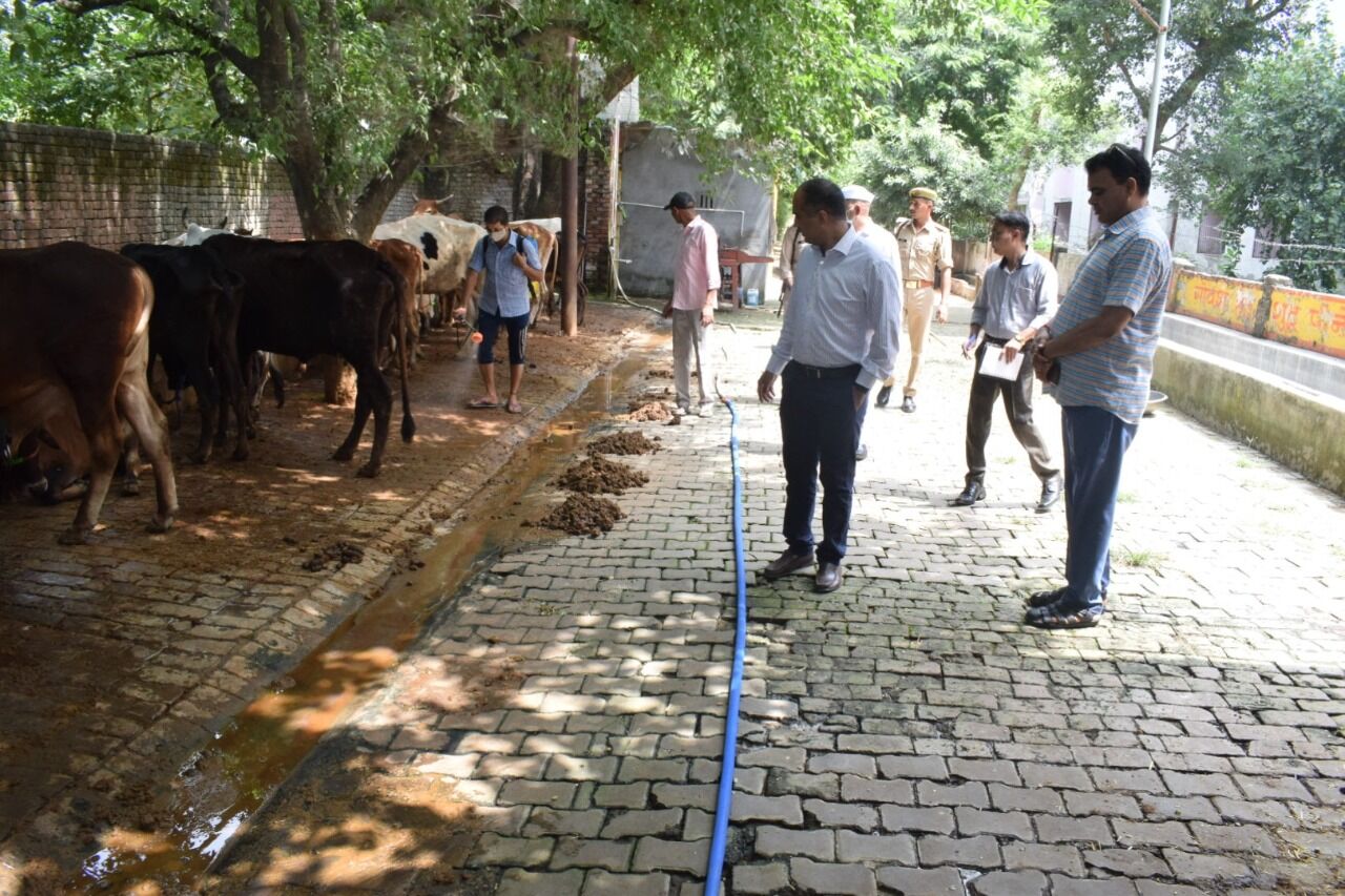 DM-CDO द्वारा गोवंश आश्रय स्थल का निरीक्षण कर दिये गयेे दिशा निर्देश