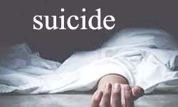 NCRB द्वारा की गई क्राइम केसो की जाँच में आत्महत्या केसो की संख्या NCRB द्वारा की गई क्राइम केसो की जाँच में आत्महत्या केसो की संख्या