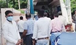 डंक मारने के बाद महिला की जान लेकर बिल में घुस गया सांप