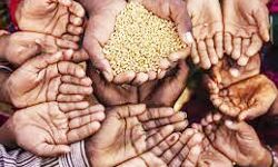 सरकार कर रही विचार-सितंबर के बाद भी मिलेगा मुफ्त अनाज? सरकार कर रही विचार-सितंबर के बाद भी मिलेगा मुफ्त अनाज?