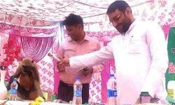 MLA के हाथ से माइक छीनकर लंगूर ने संभाला मंच संचालन-फूले हाथ पांव MLA के हाथ से माइक छीनकर लंगूर ने संभाला मंच संचालन-फूले हाथ पांव