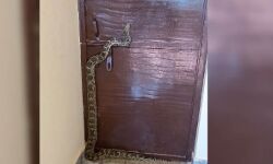 बीजेपी एमएलए के दफ्तर में अजगर देख कांप गई रूह- फैली दहशत