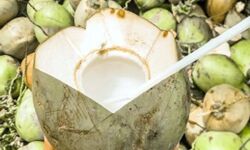 सेहत - पाचन तंत्र को दुरुस्त रखता नारियल पानी