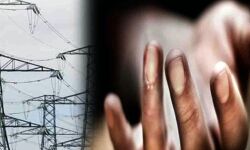 पेड काटते समय हुआ हादसा-हाईटेंशन करंट ले गया तीन मजदूरों की जान पेड काटते समय हुआ हादसा-हाईटेंशन करंट ले गया तीन मजदूरों की जान