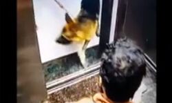 डिलीवरी ब्वॉय पर जानलेवा हमला- चबा गया डिलीवरी ब्वॉय का प्राइवेट.. डिलीवरी ब्वॉय पर जानलेवा हमला- चबा गया डिलीवरी ब्वॉय का प्राइवेट..