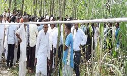 करंट लगने से खेत में काम कर रहे तीन मजदूरों की मौत - एक घायल करंट लगने से खेत में काम कर रहे तीन मजदूरों की मौत - एक घायल