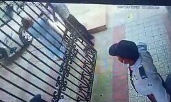 गेट खोलने में हुई देरी से खफा महिला प्रोफेसर ने गार्ड को जड़े तमाचे