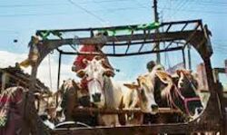 गौकशी कर रहे तस्करों की पुलिस के साथ मुठभेड़ , दो घायल गौकशी कर रहे तस्करों की पुलिस के साथ मुठभेड़ , दो घायल