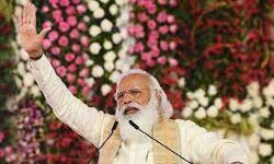 लुप्त हुए चीते की फिर हो रही है भारत में वापसी लुप्त हुए चीते की फिर हो रही है भारत में वापसी