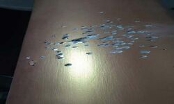 बाइक सवार युवकों ने बरसाई ताबड़तोड़ गोलियां- घरों में दुबके लोग बाइक सवार युवकों ने बरसाई ताबड़तोड़ गोलियां- घरों में दुबके लोग