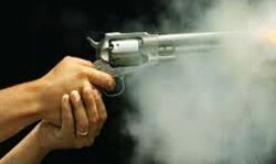 अपराधियों ने किसान को मारी गोली