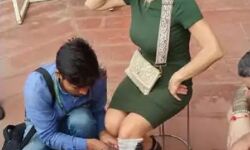 स्पेन से ताजमहल देखने आई पर्यटक का बंदरों ने कर दिया ऐसा हाल स्पेन से ताजमहल देखने आई पर्यटक का बंदरों ने कर दिया ऐसा हाल