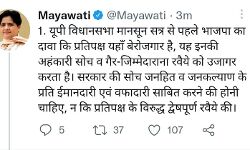 विपक्ष को बेरोजगार बताने पर बिफरी मायावती ने जमकर उतारा नजला विपक्ष को बेरोजगार बताने पर बिफरी मायावती ने जमकर उतारा नजला