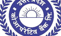 UP कोआपरेटिव बैंक ने स्थापित किया नया कीर्तिमान UP कोआपरेटिव बैंक ने स्थापित किया नया कीर्तिमान