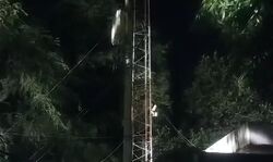 पत्नी गई मायके तो पति ने टावर पर चढ़कर रच दिया ऐसा हाई वोल्टेज ड्रामा पत्नी गई मायके तो पति ने टावर पर चढ़कर रच दिया ऐसा हाई वोल्टेज ड्रामा