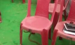 डिप्टी सीएम की सभा में निकल आया सांप तो मचा चौतरफा हड़कंप डिप्टी सीएम की सभा में निकल आया सांप तो मचा चौतरफा हड़कंप
