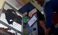 बदमाशों ने की धांय धांय और लूटकर ले गए बैंक- अब वीडियो वायरल बदमाशों ने की धांय धांय और लूटकर ले गए बैंक- अब वीडियो वायरल