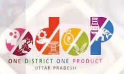 खूब पसंद किए जा रहे हैं ODOP उत्पाद खूब पसंद किए जा रहे हैं ODOP उत्पाद