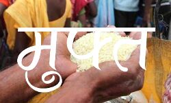 तीन माह और मिलेगा मुफ्त राशन- रिफाईण्ड ऑयल सहित मिलेंगी ये चीज़े तीन माह और मिलेगा मुफ्त राशन- रिफाईण्ड ऑयल सहित मिलेंगी ये चीज़े