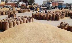 दामों में बढ़ोतरी कर सरकार ने किया इतने टन धान खरीदने का ऐलान दामों में बढ़ोतरी कर सरकार ने किया इतने टन धान खरीदने का ऐलान