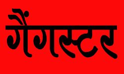 खनन माफिया गैंग के 19 सदस्यों पर लगा गैंगस्टर एक्ट