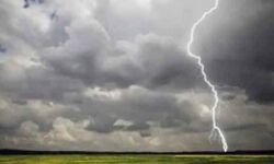 आकाशीय बिजली दो किसानों के साथ लेकर चली गई 9 बकरियों की जान आकाशीय बिजली दो किसानों के साथ लेकर चली गई 9 बकरियों की जान