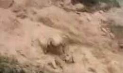 फटा बादल, आया पानी का सैलाब और बहाकर ले गया मिट्टी और पत्थर फटा बादल, आया पानी का सैलाब और बहाकर ले गया मिट्टी और पत्थर