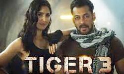 इस दिन रिलीज होगी सलमान खान की यह फिल्म इस दिन रिलीज होगी सलमान खान की यह फिल्म