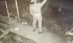 बल्ब चोरी मामला-एसएसपी ने दरोगा को किया सस्पेंड, शुरू हुई जांच बल्ब चोरी मामला-एसएसपी ने दरोगा को किया सस्पेंड, शुरू हुई जांच