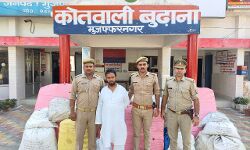 अवैध फैक्ट्री में बनता मिला पटाखों का जखीरा- एक गिरफ्तार अवैध फैक्ट्री में बनता मिला पटाखों का जखीरा- एक गिरफ्तार