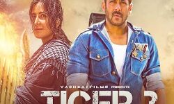 जानिए कब रिलीज होगी सलमान खान की यह फिल्म