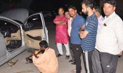 बैंक मैनेजर की कार पर 22 घंटे रहा सांप का कब्जा- ऐसे हुई मुक्त