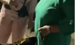 डॉगी ने महिला के हाथों पड़ोसी को लगवा दिए थप्पड़- इसलिए हुआ विवाद