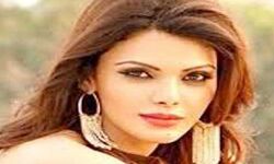 शर्लिन की शिकायत पर साजिद के खिलाफ समन की आशंका शर्लिन की शिकायत पर साजिद के खिलाफ समन की आशंका