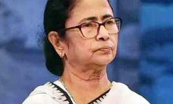 ममता ने रीवा में हुए दर्दनाक हादसे पर जताया गहरा दुख ममता ने रीवा में हुए दर्दनाक हादसे पर जताया गहरा दुख