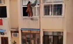 हथेली पर जान लेकर सफाई कर रही महिला कैमरे में कैद- वीडियो वायरल हथेली पर जान लेकर सफाई कर रही महिला कैमरे में कैद- वीडियो वायरल