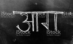 मेरिज गार्डन में आग लगने से एक करोड़ का सामान जलकर राख मेरिज गार्डन में आग लगने से एक करोड़ का सामान जलकर राख