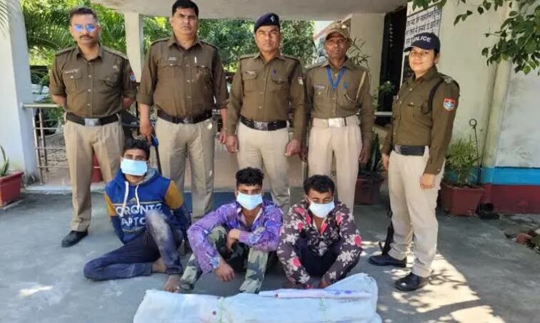 चंदन के पेड़ पर कुल्हाडा चला रहे पुष्पा का गांव वालों ने किया ऐसा हाल