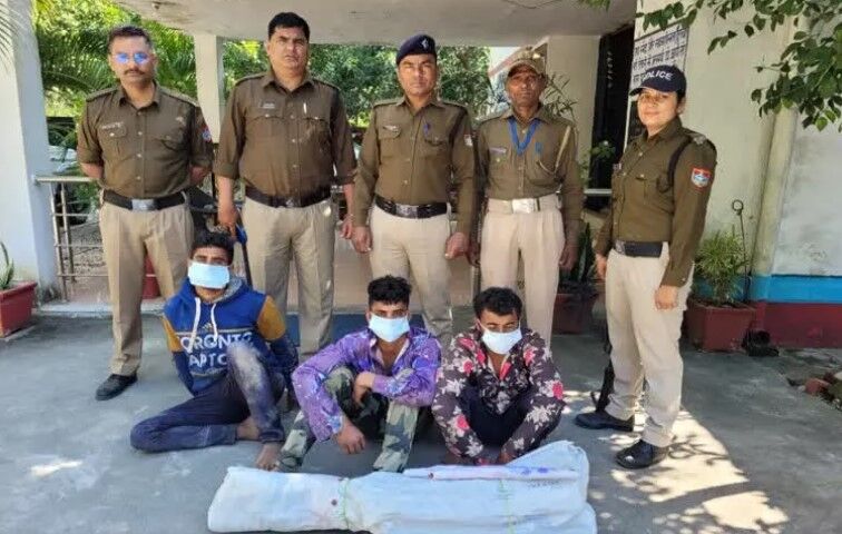 चंदन के पेड़ पर कुल्हाडा चला रहे पुष्पा का गांव वालों ने किया ऐसा हाल