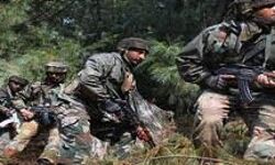 सुरक्षाबलों ने किया विदेशी आतंकवादी को ढेर सुरक्षाबलों ने किया विदेशी आतंकवादी को ढेर