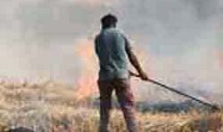 पराली जलाने पर किसानों पर लगाया जुर्माना पराली जलाने पर किसानों पर लगाया जुर्माना